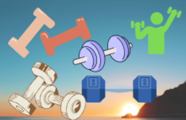 Holistic Bodybuilding: Training 2 holistic bodybuilding