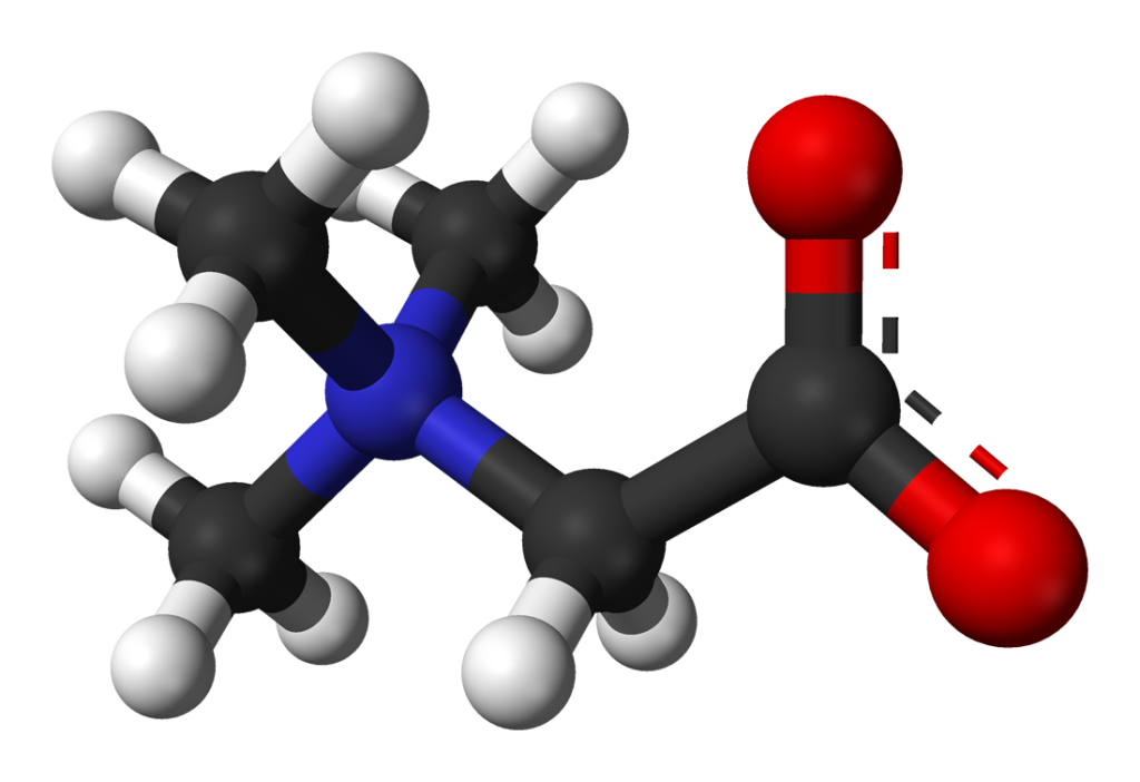 All About Betaine For Bodybuilding 3 betaine for bodybuilding