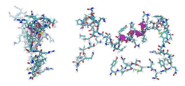 peptides for bodybuilding