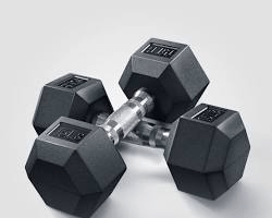 Bodybuilding Bodybuilding