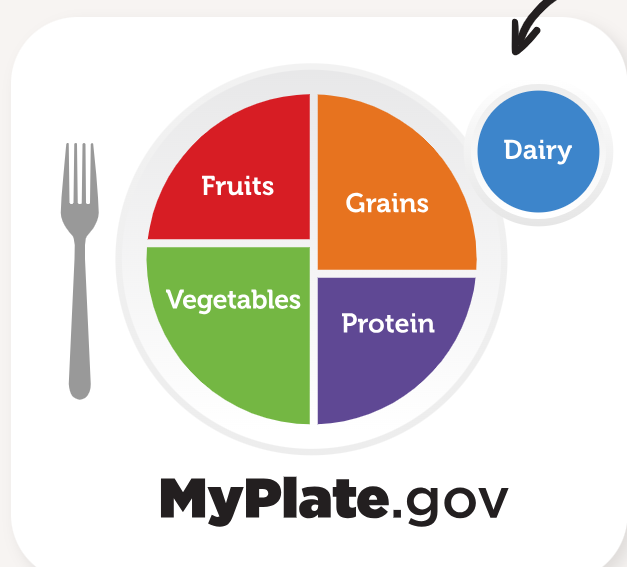 Bodybuilding Food: MyPlate Power 2 body building food 1